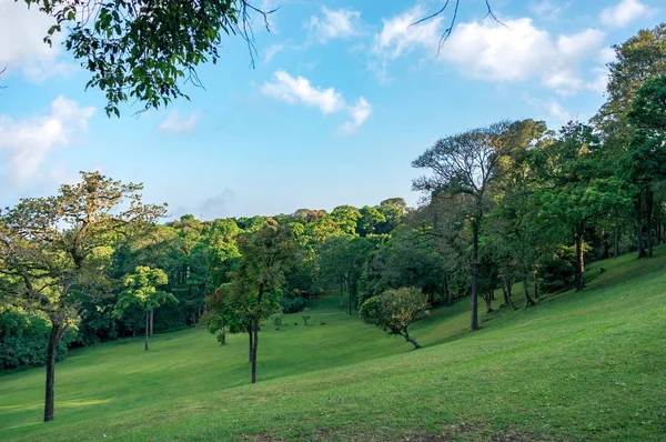 Botanical garden on Bali — Stock Photo, Image