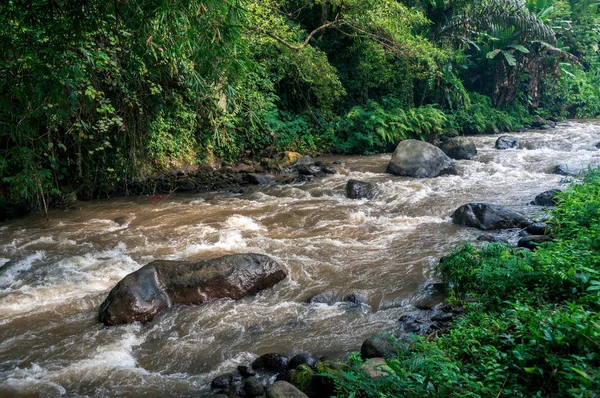 Река в лесу на Бали — стоковое фото