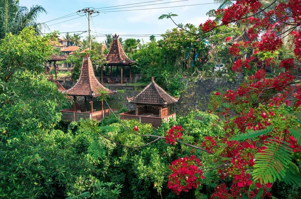 Balinese pavilions in the blooming garden — Stock Photo, Image