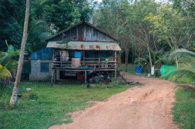 Ormanın içinde Asya kulübe