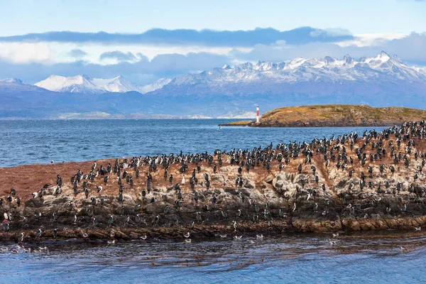 Bird Island yakınındaki Ushuaia — Stok fotoğraf