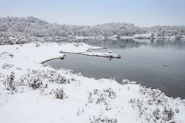 Tierra Fuego Nemzeti Park — Stock Fotó