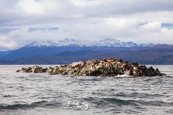 Seal Adası yakınlarında Ushuaia — Stok fotoğraf