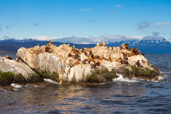 Isla Seal cerca de Ushuaia — Foto de Stock