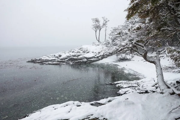 Parc national de la Terre de Feu — Photo