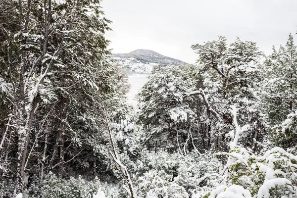 Tierra Fuego Nemzeti Park — Stock Fotó