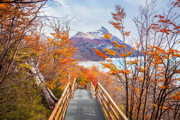 Ledovec perito moreno — Stock fotografie