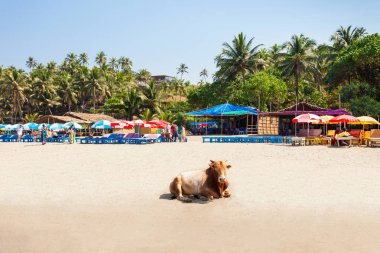 Beach in Goa, India clipart