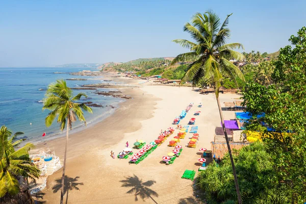 Strand in goa, india — Stockfoto