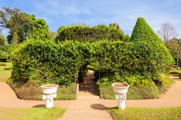 Peradeniya Royal Botanic Gardens — Stock Photo, Image
