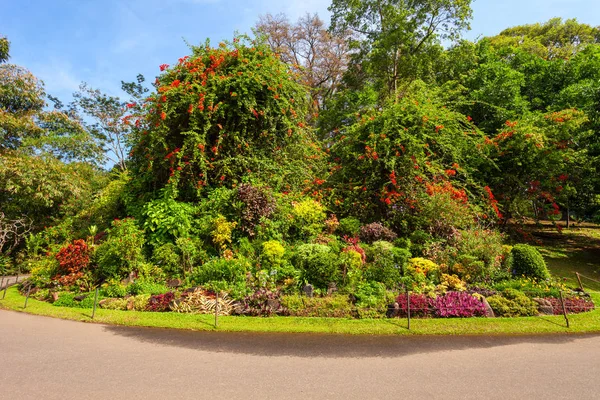Peradeniya Royal Botanic Gardens — Stockfoto