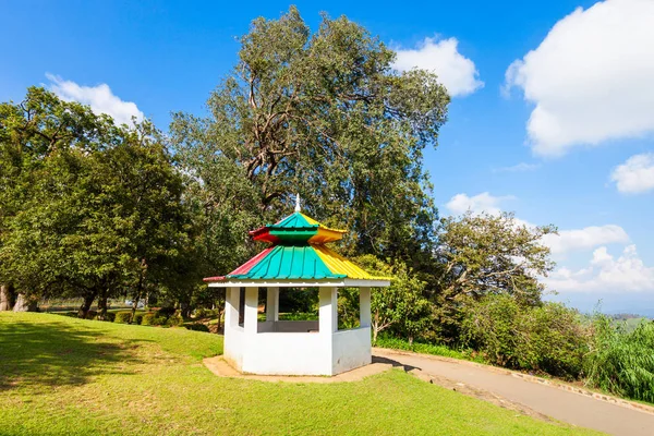 Hakgala Botanik Bahçesi, Nuwara Eliya — Stok fotoğraf
