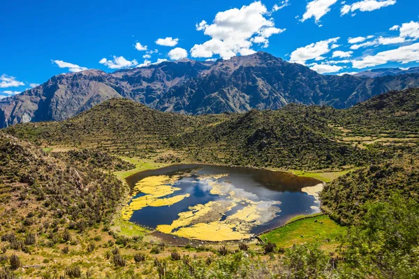Valle del Colca, Perú —  Fotos de Stock