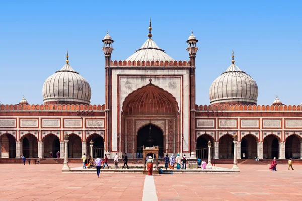 Джама-мечеть в Индии Стоковая Картинка