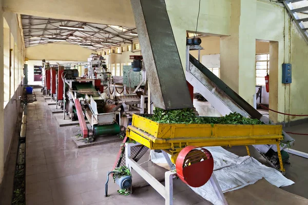 Teefabrik, Indien — Stockfoto