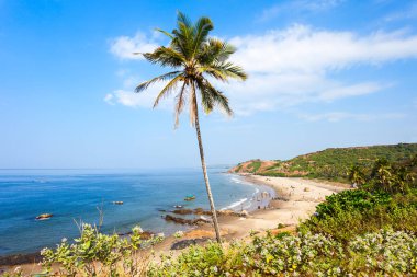 Beach in Goa, India clipart