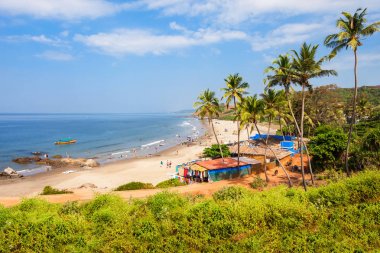 Beach in Goa, India clipart