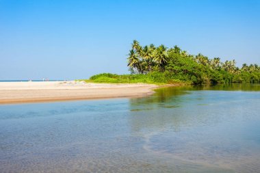 Beach in Goa, India clipart