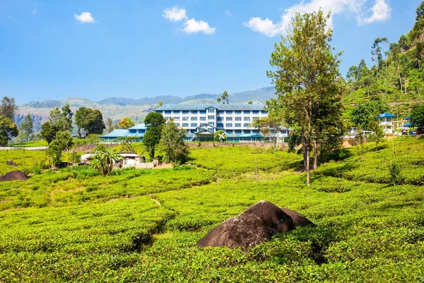 Tea factory, Sri Lanka