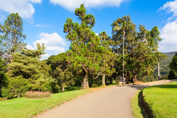 Jardim Botânico de Hakgala, Nuwara Eliya — Fotografia de Stock
