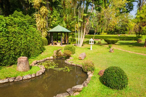 Peradeniya königliche botanische Gärten — Stockfoto