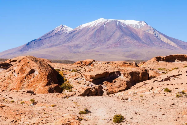 Volcán Ollague — Foto de Stock