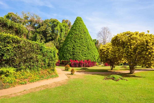 Giardino botanico reale di Peradeniya — Foto Stock