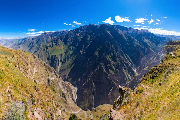 Kanion Colca w peru — Zdjęcie stockowe