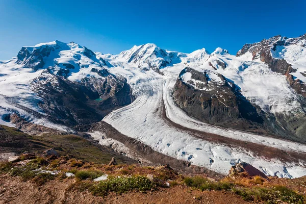 Matterhorn, Monte Rosa, Gorner Buzulu — Stok fotoğraf