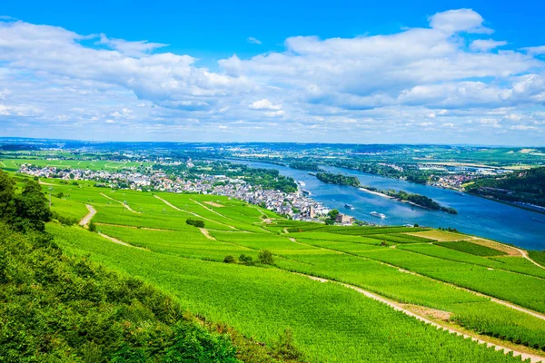 Rudesheim am Rhein Vineyards, Németország — Stock Fotó