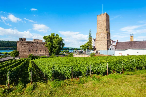 Rudesheim am Rhein Vineyards, Germany — ストック写真