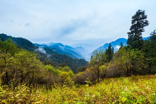 Zalesněná hora v mlhavé krajině — Stock fotografie