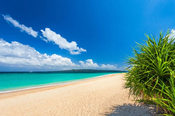 Vacanze Tropicali Sulla Spiaggia Solitaria Sabbia Bianca Nell Isola Boracay — Foto Stock