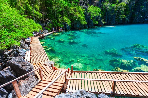 菲律宾巴拉旺省Coron岛的Kayangan湖热带景观 — 图库照片
