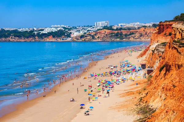 Пляж Фалезия Известняковой Скалой Городе Албуфейра Регион Алгарве Португалии — стоковое фото