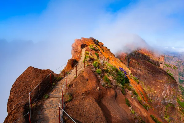 Pico Arieiro Pico Ruivo Trek Mysty Landscape Portuguese Madeira Island — 스톡 사진