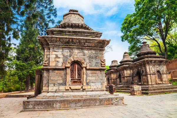 Sanctuaires Hindous Autre Côté Complexe Temple Pashupatinath Dans Ville Katmandou — Photo