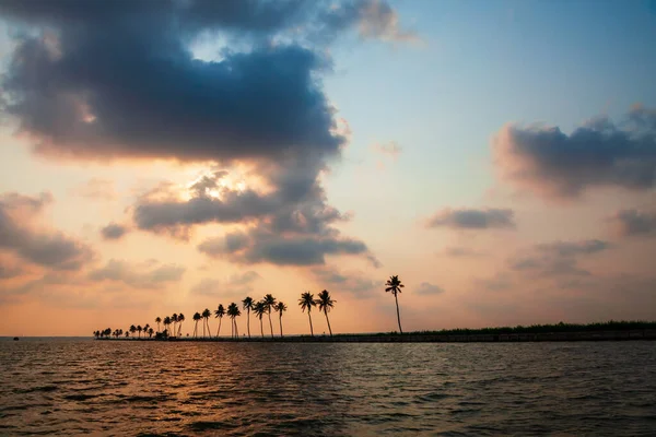 Alappuzha Backwater Landscape Kerala State India Sunset — стокове фото