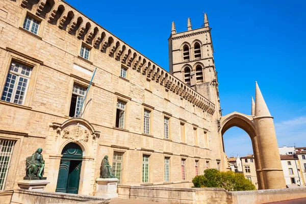 Cattedrale Montpellier Una Chiesa Cattolica Romana Situata Nella Città Montpellier — Foto Stock