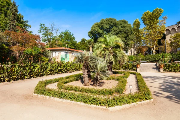 Jardin Des Plantes Montpellier Είναι Ένας Δημόσιος Βοτανικός Κήπος Στην — Φωτογραφία Αρχείου