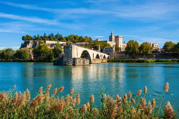 Pont Saint Benezet Bridge Palace Popes Palais Des Papes Avignon — Stock Photo, Image