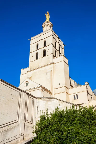 Catedral Aviñón Ciudad Aviñón Sur Francia — Foto de Stock