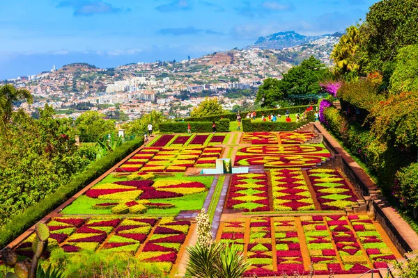 Funchal Madeira Ιούλιος 2014 Μαδέρα Βοτανικός Κήπος Jardim Botanico Στην — Φωτογραφία Αρχείου