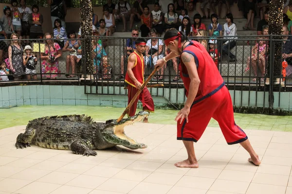 2010年12月11日 タイのプーケット島動物園でのクロコダイルショー — ストック写真