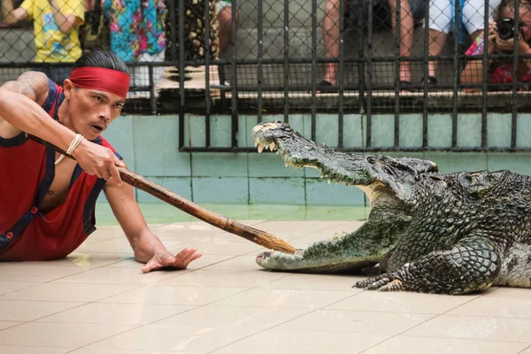 Phuket Thailand Dezembro 2010 Crocodilo Show Phuket Zoológico Ilha Tailândia — Fotografia de Stock