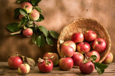 hasır sepet hasat meyve.