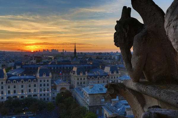 Chimeras Notre Dame günbatımı üzerinde