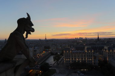 Chimeras Notre Dame günbatımı üzerinde
