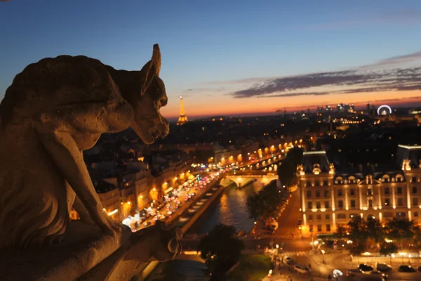 Quimeras de Notre Dame ao pôr-do-sol — Fotografia de Stock