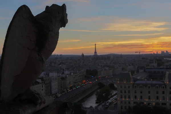 Chimere di Notre Dame al tramonto — Foto Stock